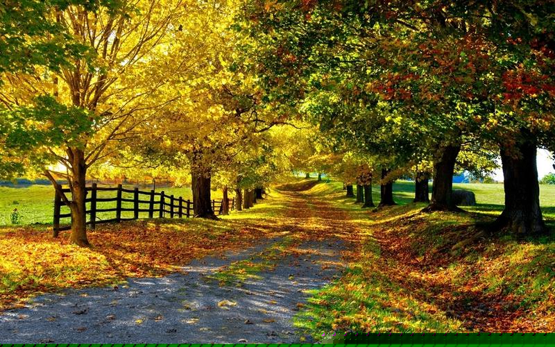 使用飞雾电子烟时你可能忽视的健康隐患