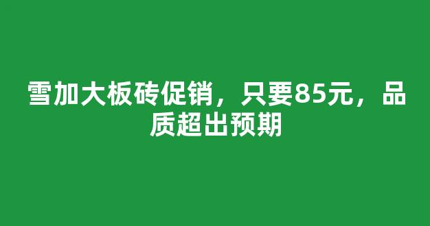 雪加大板砖促销，只要85元，品质超出预期