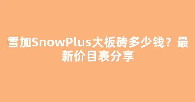 雪加SnowPlus大板砖多少钱？最新价目表分享