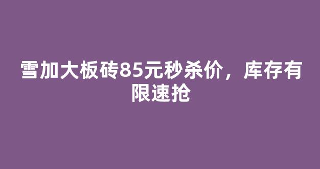 雪加大板砖85元秒杀价，库存有限速抢