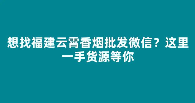 想找福建云霄香烟批发微信？这里一手货源等你