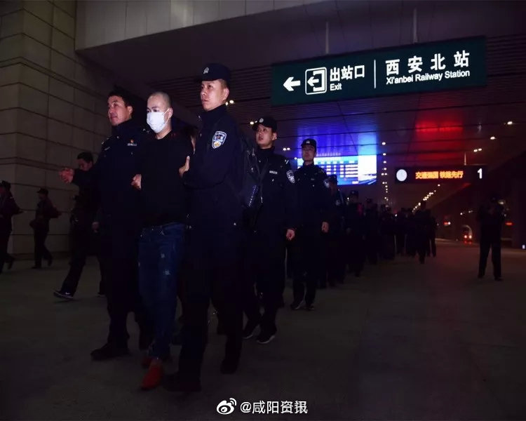 假烟案件打掉团伙数量_特大网络销售假烟案_免税正品烟代购网